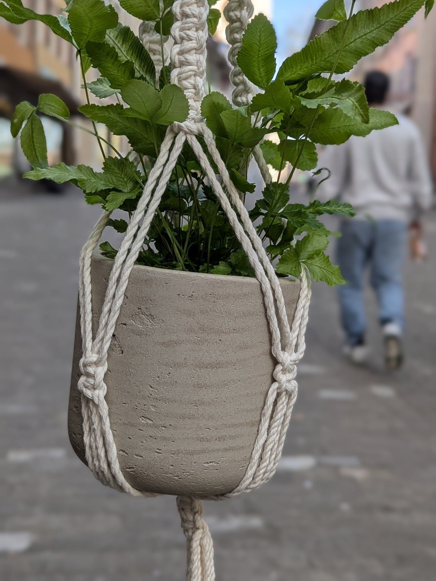 Makramee-Pflanzenaufhänger – 35 cm (natur)