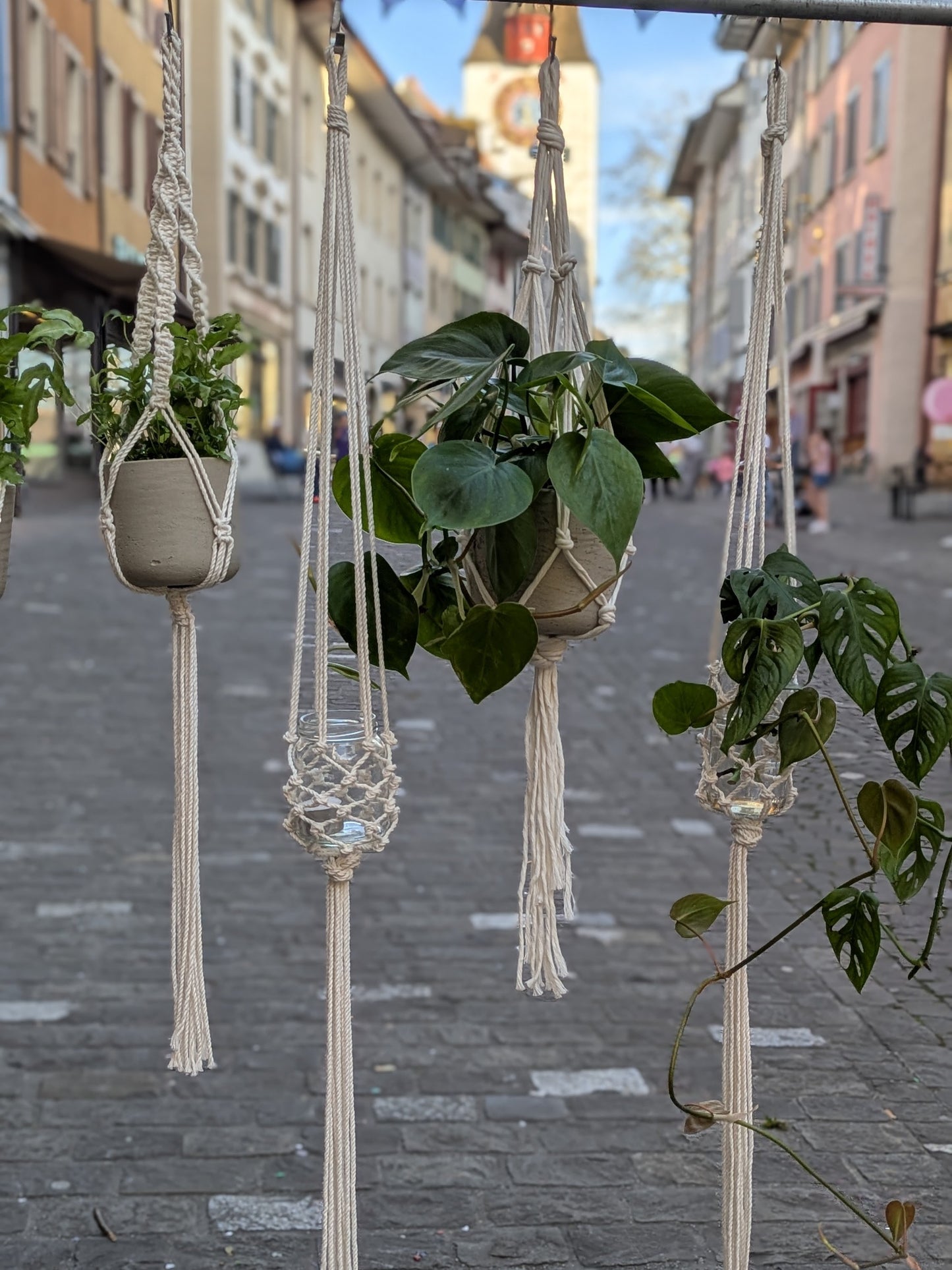 Makramee Pflanzenaufhänger – 50cm