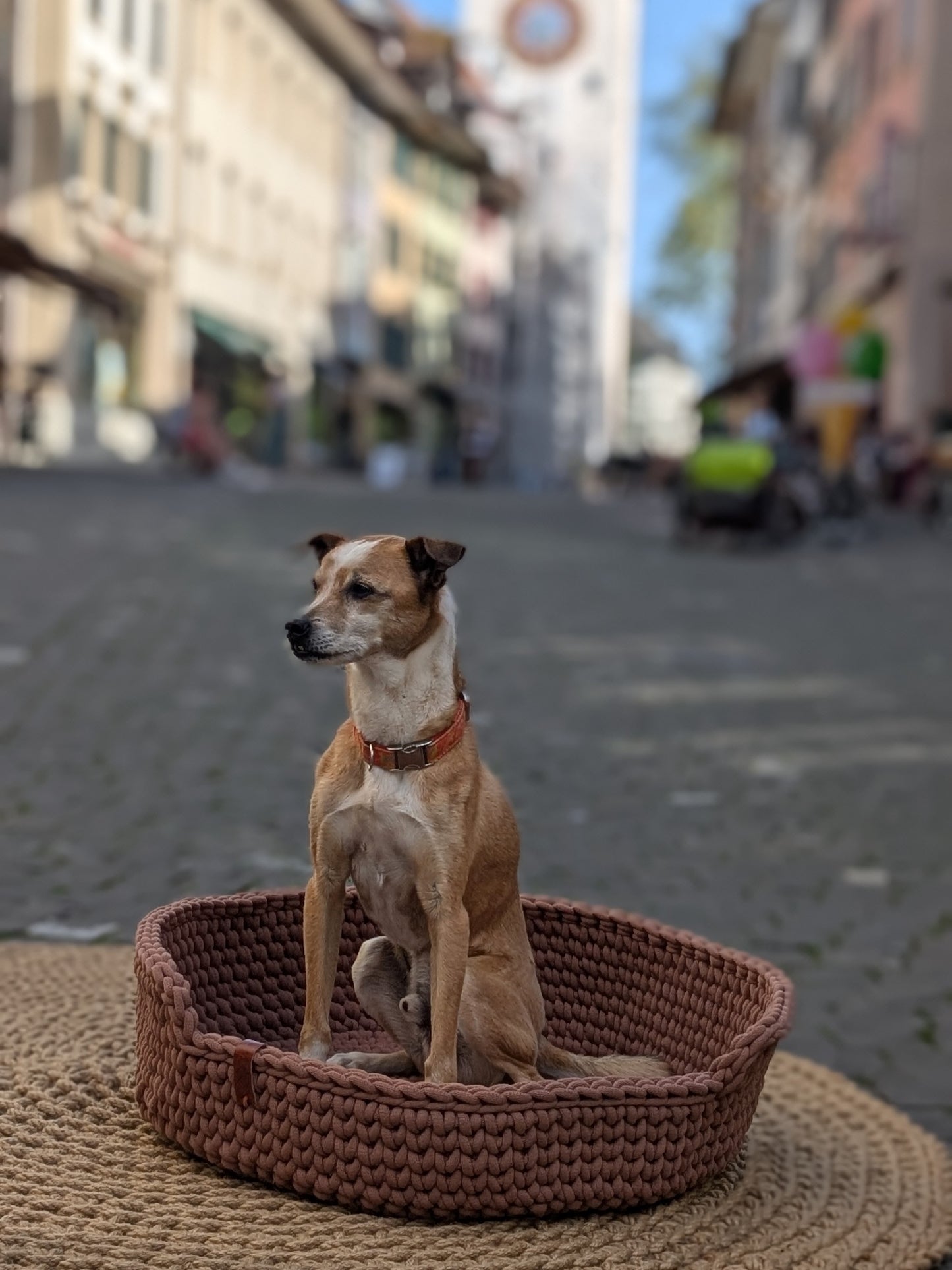 Handgehäkeltes Hundebett aus Baumwolle – Braun| Ø 60 cm