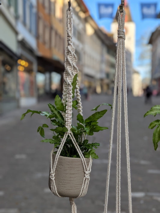 Makramee-Pflanzenaufhänger – 35 cm (natur)