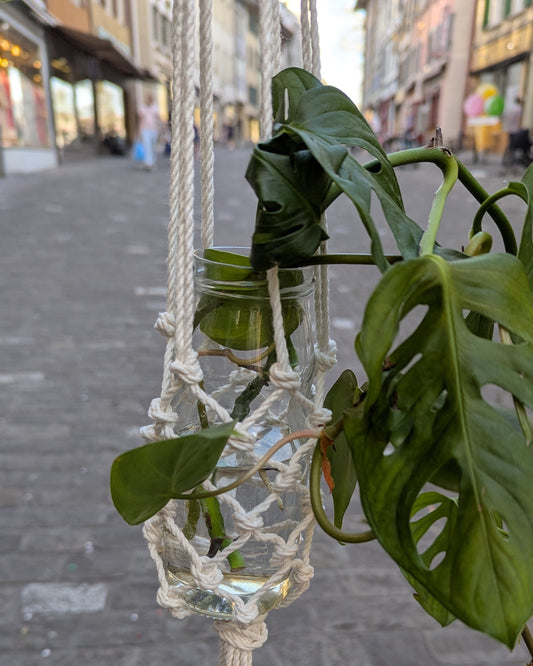 Makramee-Ablegerglas – ohne Pflanze