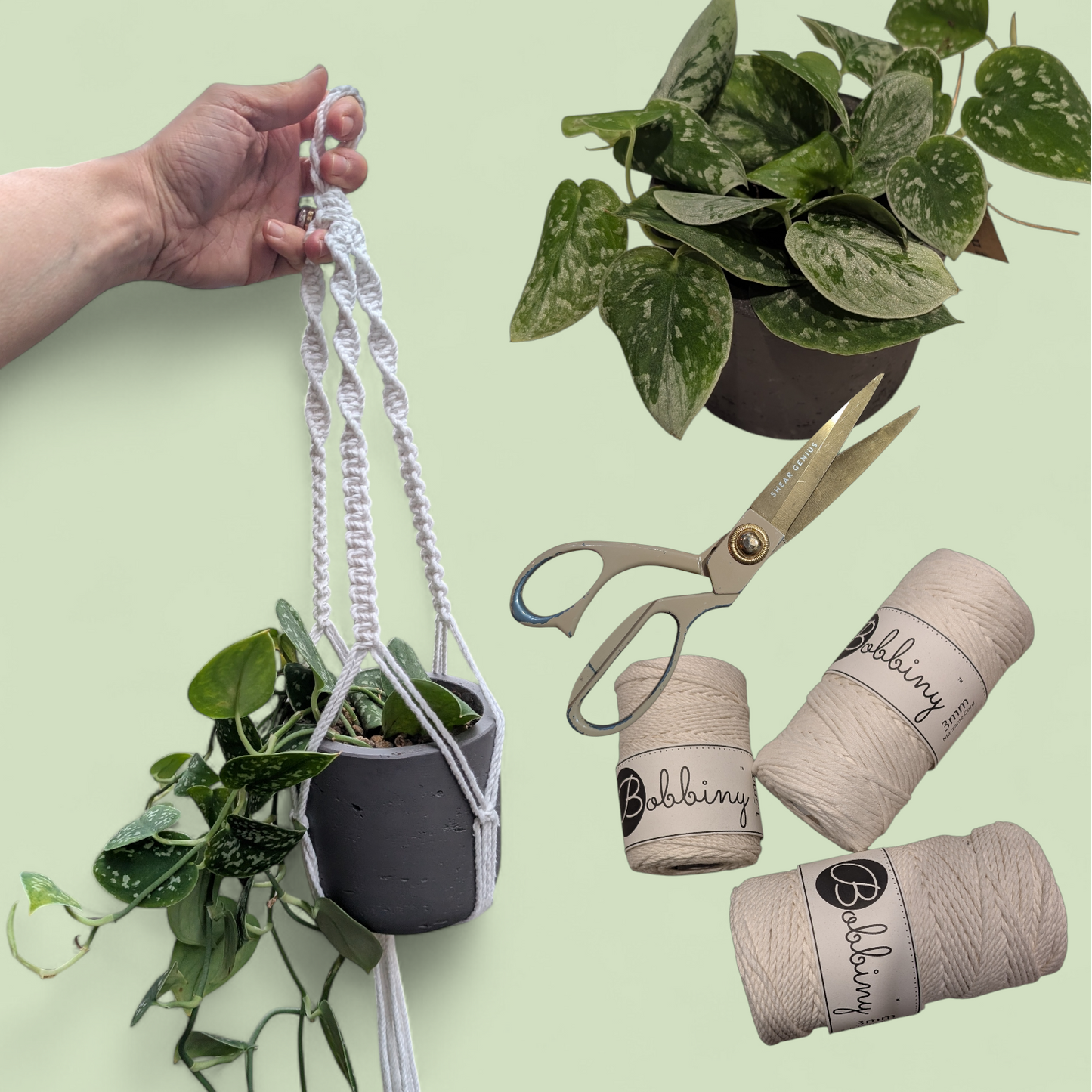 Makramee-Kurs: Pflanzenaufhängung knüpfen